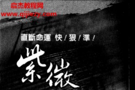 刘军凌著紫微斗数玄义电子书pdf百度网盘下载学习