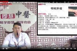 陈小双六极针法视频课程15集三阴三阳秒杀疼痛百度网盘下载学习