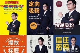智多星《知识IP发售系统》电子书pdf12部合集打造完美步骤发售年赚7位数的步骤和方法如何打造爆款产品步骤百度网盘下载学习