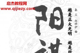 秦尘赵梓伊著阳谋越是正大光明越是所向披靡电子书pdf百度网盘下载学习