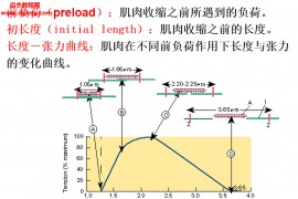 郝选明华南师范大学运动生理学邓树勋三版视频课程81讲含课件百度网盘下载学习