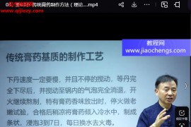 王合民王氏透皮外调技术线上课视频课程19集百度网盘下载学习