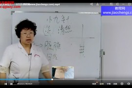 刘晓芳刘氏天地奇穴视频课程21集百度网盘下载学习