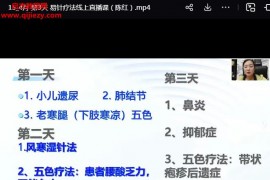 陈红易针疗法八卦针视频直播课程百度网盘下载学习