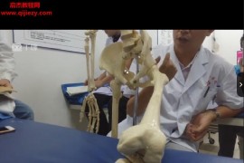 王震生带你学软外之运动平衡视频课程13集百度网盘下载学习