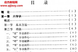 张保玉著养气功学习与治疗电子书pdf百度网盘下载学习