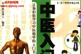 林政宏著一目了然学中医丛书10部全电子版pdf百度网盘下载学习
