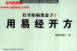 栾加芹著打开疾病黑盒子2用易经开方电子书pdf百度网盘下载学习