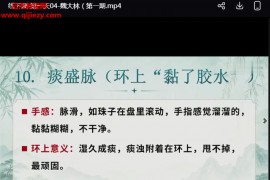 魏大林省非遗魏氏水粒2天线下课视频课程8集百度网盘下载学习