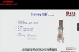 李建民软组织徒手治疗肩肘腕髋膝踝线上课98讲百度网盘下载学习