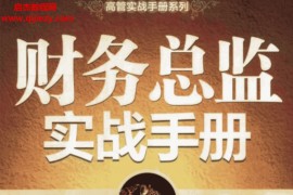 王苏著财务总监实战手册电子书pdf百度云网盘下载学习