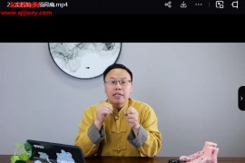 羊爸爸冉红星健康之行始于足下家庭实用足部反射调理法视频课程32集百度网盘下载学习