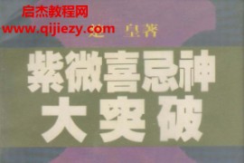 楚皇著紫微喜忌神大突破电子书pdf百度网盘下载学习