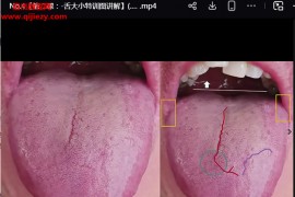 熊氏舌诊临床课视频课程97集百度网盘下载学习