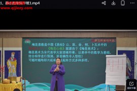 子辰静态图像精华班视频课程8集百度网盘下载学习