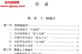赵俊欣著十一师秘要秘方电子书pdf百度网盘下载学习