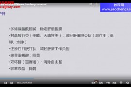 消化系统常见疾病的诊断与治疗肝胆篇视频课程11集百度网盘下载学习