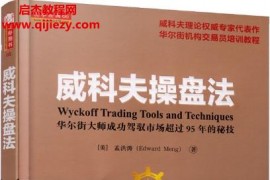 威科夫操盘法华尔街大师成功驾驭市场超过95年的秘技电子书pdf百度网盘下载学习