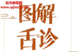 王季藜王冰主编图解舌诊临证实录电子书pdf百度网盘下载学习