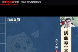 袁文昊30天固气活血养生营视频课程百度网盘下载学习