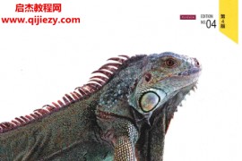 (美)戴维巴斯著进化心理学心理的新科学第4版电子书pdf百度网盘下载学习