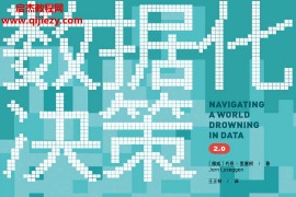 (挪威)约恩里塞根著数据化决策2.0电子书pdfmobiepub格式百度网盘下载学习