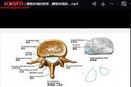 孟令培非遗六壬整脊特训营视频课程20集百度网盘下载学习