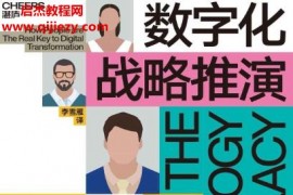 (美)杰拉德C凯恩著数字化战略推演电子书pdfmobiepub格式百度网盘下载学习