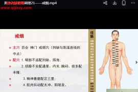陈沙沙黄帝内针疼痛调理视频课程25集百度网盘下载学习