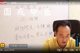 圆成中医张翔黄帝外经视频课程88集黄帝外经解要与直译百度网盘下载学习