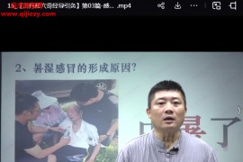 维真古丹秘穴奇经导引灸线上课视频课程19集百度网盘下载学习