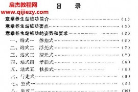 王玉芳著意拳养生站桩功电子书pdf百度网盘下载学习
