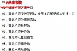 姚远财神体如意令真武祖师传人班讲义pdf81页百度网盘下载学习