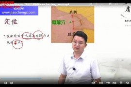 中大师承学堂一穴一讲视频课程174讲百度网盘下载学习