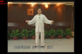 赵幼斌太极拳85式教学视频课程21DVD百度网盘下载学习