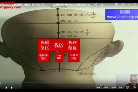 张洪瑞蒙医绝技治疗疑难杂症线上网课百度网盘下载学习