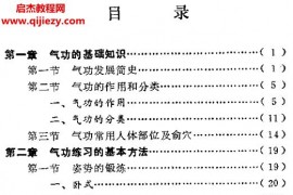 张年顺著自学气功入门电子版pdf百度网盘下载学习