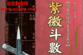 李子阳著紫微斗数秘仪传承电子书pdf百度网盘下载学习