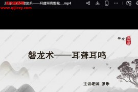 张乐张氏五环磐龙术视频课程22集百度网盘下载学习