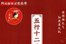 王君凌著盲派八字象法秘籍五行十二月吉凶命例两册电子书pdf百度网盘下载学习