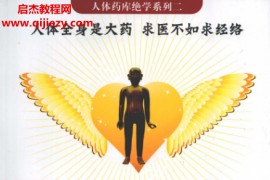 易道著经络是最好的药电子书pdf百度网盘下载学习