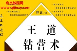 启斌著王道钻营术电子书pdf百度网盘下载学习