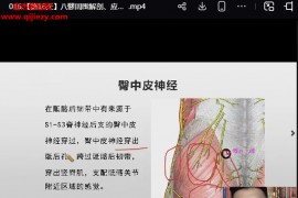 翟天军神经减张疗法实战应用线上训练营20天视频课程百度网盘下载学习