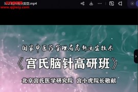大宫国际学院宫小虎宫氏脑针高研班视频课程百度网盘下载学习