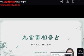 张芝鸣九宫面相奇占密训营视频课程15集百度网盘下载学习