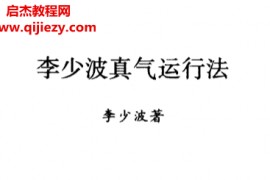 李少波著李少波真气运行法电子书pdf百度网盘下载学习