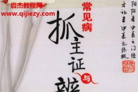 鲍艳举花宝金编著常见病抓主证与辨方证电子书pdf百度网盘下载学习