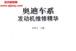 栾琪文主编奥迪车系发动机维修精华电子书pdf百度网盘下载学习