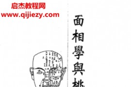 余雪鸿著面相学与桃花运电子书pdf百度网盘下载学习