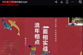 星月辰光面相实战班完整版视频课程20集百度网盘下载学习